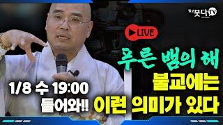 1월 8일(수) 저녁 7시 자현 스님 라방 | 푸른 뱀의 해 불교에는 이런 의미가 있다 | 문화재 역사 유산 전설 설화 이야기 | 자현스님의 기도를 알아가는 저녁 시즌9