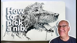 How to Pick a Nib
