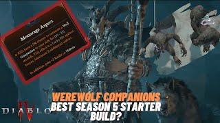 Werewolf Companion Druid best Season5 Starter? Diablo 4 Build Theorycraft