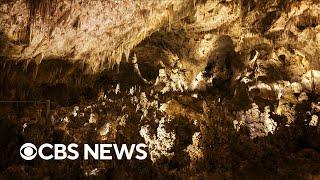 Inside the Carlsbad Caverns