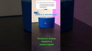 станция алиса|лучшие приколы|переводчик#shorts