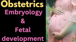 Embryology and fetal development-obstetrics #medical,  #nursing