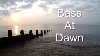 Bass At Dawn (beach lure fishing uk)