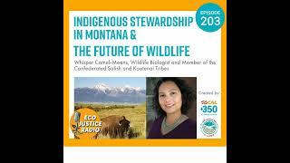 Indigenous Stewardship in Montana & the Future of Wildlife