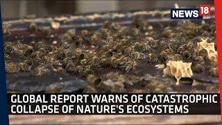 Scientists Warn Of Catastrophic Collapse Of Nature's Ecosystems