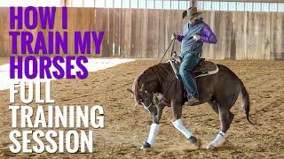 How to Train a Horse - Short Session Of My Favorite Exercises