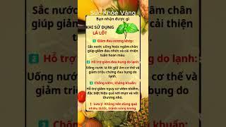 Bí Quyết Giữ Gìn Sức Khỏe Toàn Diện | Sức khỏe vàng #ChămSócSứcKhỏe #BảoVệSứcKhỏe #SốngKhỏeMỗiNgày