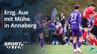 Erzgebirge Aue müht sich in Annaberg ins Achtelfinale | Sport im Osten | MDR