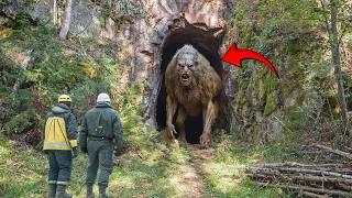 They Captured a Strange Creature in Cave; What Happened Next Shocked Everyone!