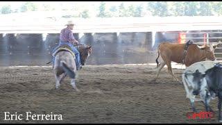 How To Make A 2yr Old Think That The Cow Is Pulling Them Through The Turn, Not Your Hands!