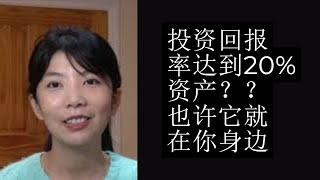 第89期：投资回报率达到20%资产？？也许它就在你身边 （下）