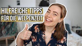 Dinge, die wir in der Welpenzeit richtig gemacht haben  (inkl. hilfreicher Tipps)