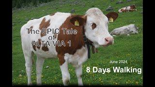 Alta Via 1   - June 2024 - 8 Days Walking - 4k