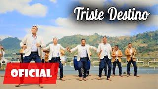 Triste Destino Orquesta Del Sabor Video Oficial 4k