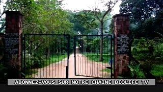 DÉCOUVRONS LE MAGNIFIQUE JARDIN BOTANIQUE DE KISANTU