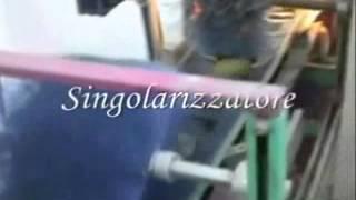 AGRIMAT SRL - Prickly pear: optical electronic sizer machine and washing system