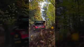 Narrow and too much side way!| WRC moment