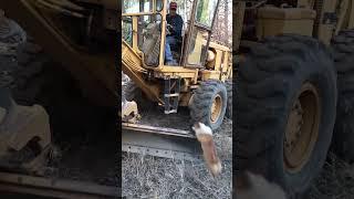 Clever Corgi Gets Lifted Into Tractor