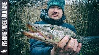 My biggest pike. Closing of the season + New trailer in real conditions | FishingVideoUkraine