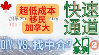 加拿大EE快速通道 101系列 第二集 - DIY 还是 找中介?