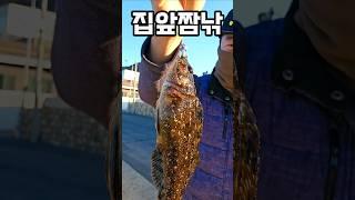 집앞에서 10분짬낚시#생활낚시 #짬낚