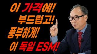 마우스피스 싸고 좋은 피스가 있나 / 독일 ESM