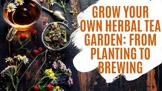 Grow Your Own Herbal Tea Garden: From Planting to Brewing | Urban Garden Republic