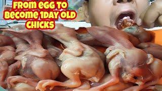 ASMR ONE DAY OLD CHICK MUKBANG / HOW TO PREPARE AND COOK ONE DAY OLD CHICK #mukbang #asmr