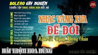 Bolero Gây Nghiện l Quán Cafe Thư Giãn  HÁI TRỘM HOA RỪNG  Nguyệt Nga, Bùi Phi Long