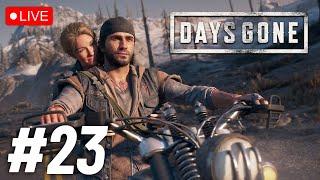 Days Gone  Hard to Survive in Zombieland?  Live Stream