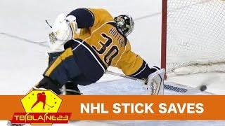 NHL Stick Saves