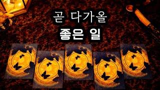 [타로] 곧 다가올 좋은 일