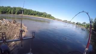 Hunting Flatheads on the Wapsipinicon River