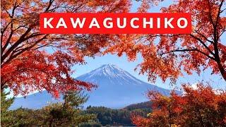 5 Things To Do in Lake Kawaguchi (4K)