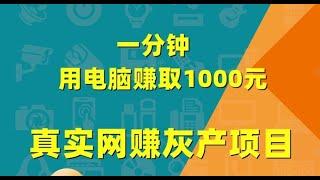 灰产项目 | 网络赚钱 | 网赚 毫无风险，教你五分钟就可以赚到3000。灰产跑分跑货真实演示（真实测试网站）