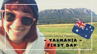 Extreme budget solo female road trip in Tasmania 