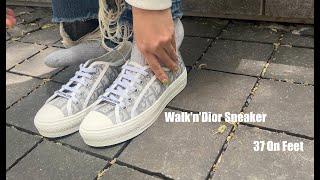 Dior Walk"N" Sneaker Review & On Foot