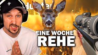 Ich habe EINE WOCHE Rehe auf Hirschfelden gejagt - theHunter Call of the Wild