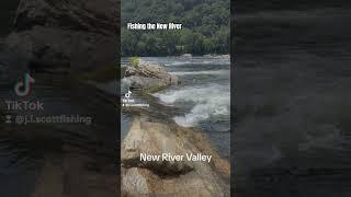 Fishing New River Smallmouth Virginia #smallmouth #nature #newriver #kayakfishing #virginia