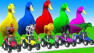 5 Giant Duck Cartoon, Cow, Mammoth, Elephant, Lion, Paint Wild Animals Crossing Fountain Animation