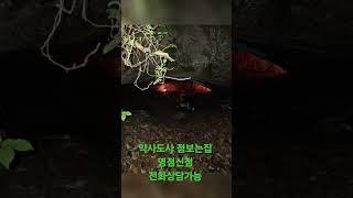 부적문의 신굿상담 신수보는집 010 5761 2826