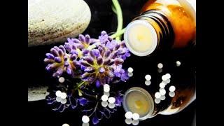 What is the Difference Between Homeopathy and Naturopathy? | with Dr. Udani, Naturopathic Doctor