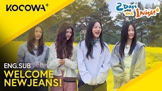 It's NEWJEANS First Variety Show Appearance!  | 2 Days And 1 Night 4 EP229 | KOCOWA+