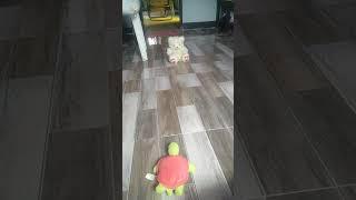 when you forget you have a little friend 