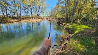 Trout Fishing With Jigs: This Creek Will NEVER Be The Same..