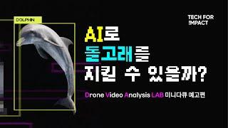 [테크포임팩트] AI로 돌고래를 지킬 수 있을까?ㅣDVA LAB 미니다큐 예고편