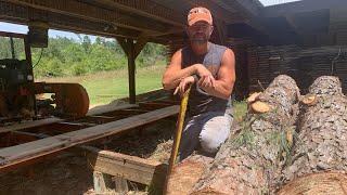 Cutting Pine Logs on the Sawmill!