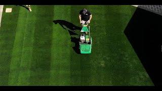 How to transition back from a Rye Grass over seed to a Tiftuf Bermuda / Couch lawn part 1