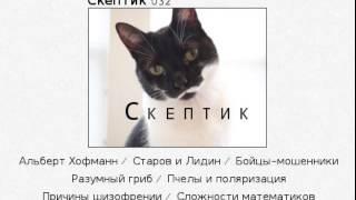 Скептик 032
