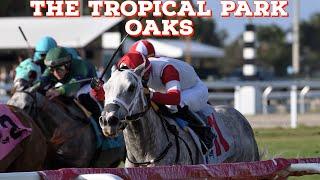 The Tropical Park Oaks Won By Be My Sunshine | Breath Away 2nd | Alpha Bella 3rd